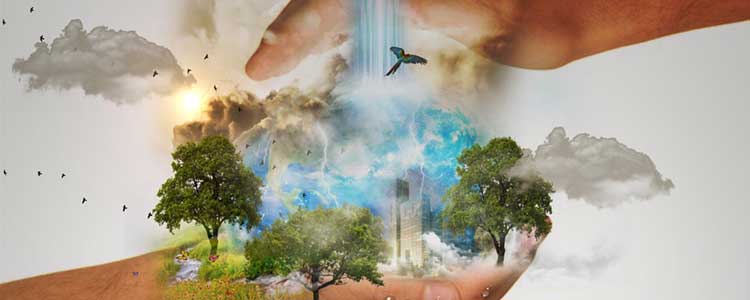 Il recupero dell'acqua piovana in casa